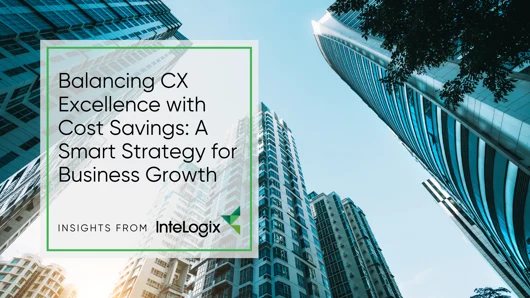 Balancing CX Excellence with Cost Savings A Smart Strategy for Business Growth