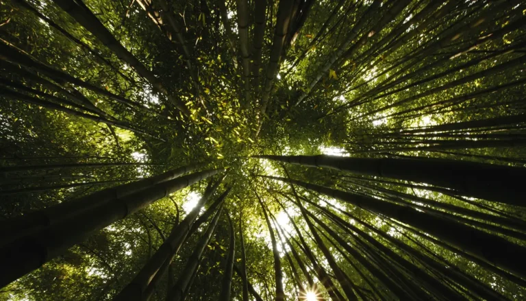 Corporate Philanthropy in Action: Our Partnership with Evertreen