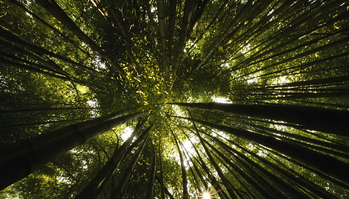 Corporate Philanthropy in Action: Our Partnership with Evertreen